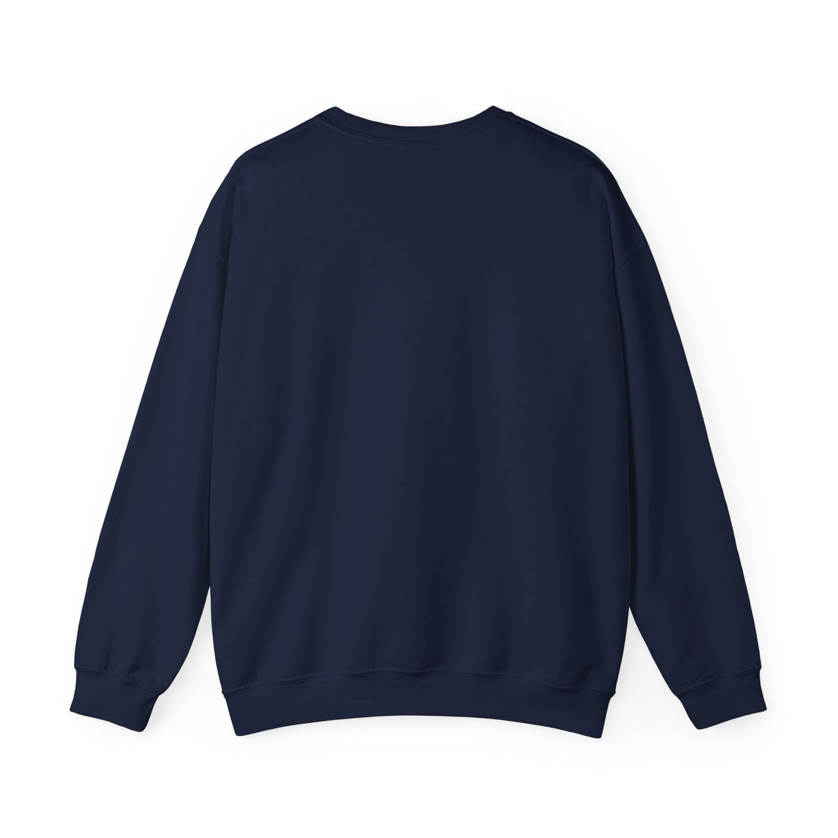 Stand for Dignity Sweatshirt | human dignity, keep each other safe