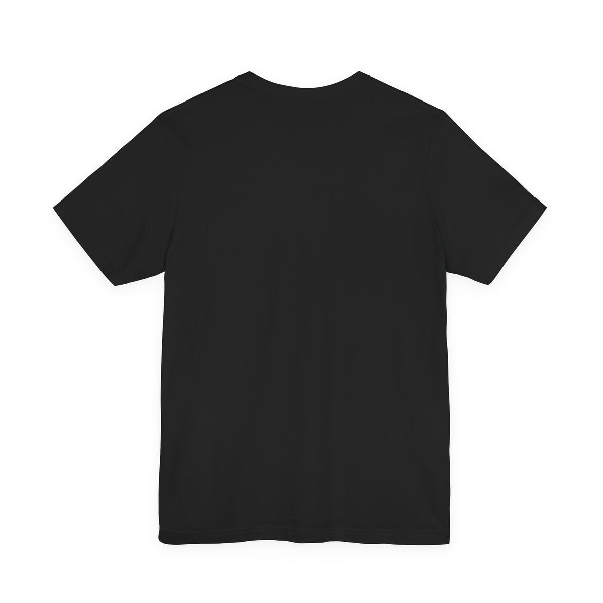 Stand for Dignity Tee | human dignity shirt, unity nonpartisan message