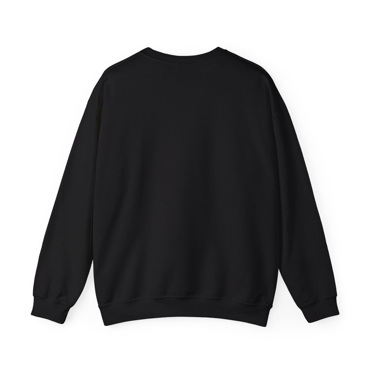 Stand for Dignity Sweatshirt | human dignity, keep each other safe